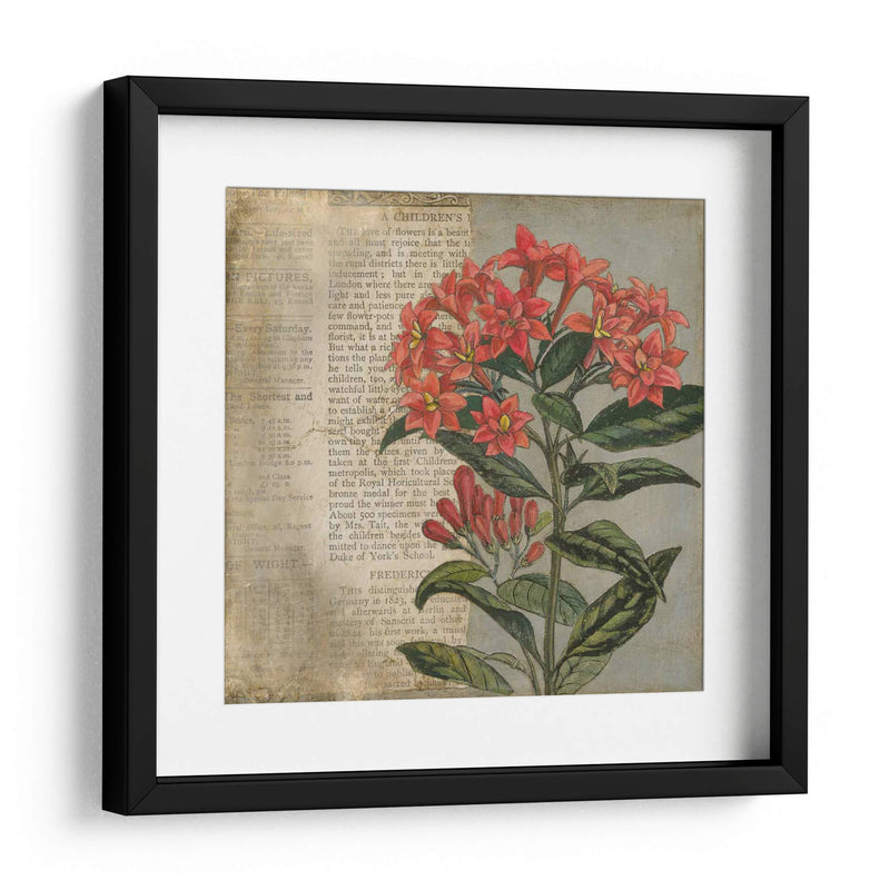 Vintage Fleur Rouge Ii - Megan Meagher | Cuadro decorativo de Canvas Lab