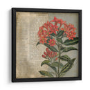 Vintage Fleur Rouge Ii - Megan Meagher | Cuadro decorativo de Canvas Lab