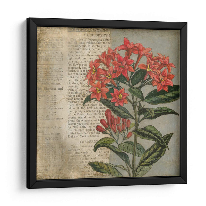 Vintage Fleur Rouge Ii - Megan Meagher | Cuadro decorativo de Canvas Lab