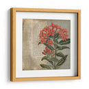Vintage Fleur Rouge Ii - Megan Meagher | Cuadro decorativo de Canvas Lab