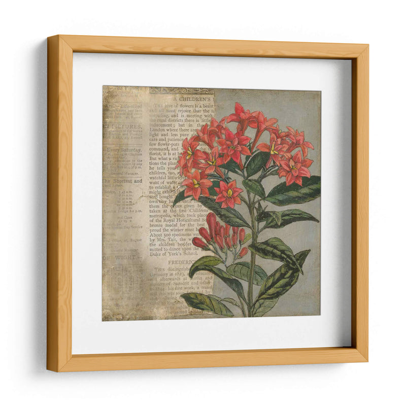 Vintage Fleur Rouge Ii - Megan Meagher | Cuadro decorativo de Canvas Lab