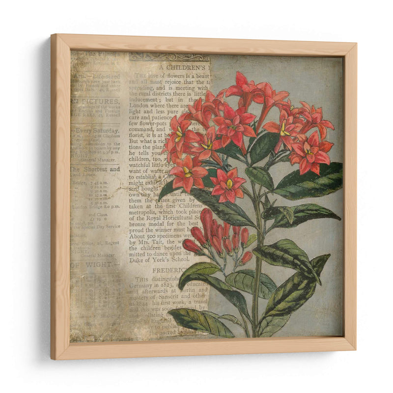 Vintage Fleur Rouge Ii - Megan Meagher | Cuadro decorativo de Canvas Lab