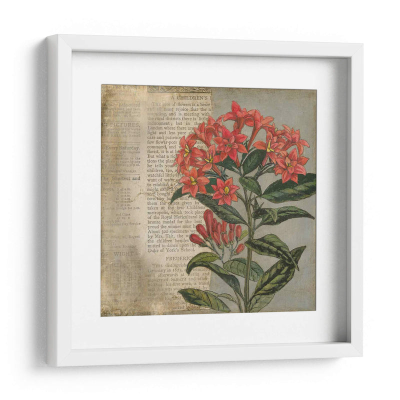 Vintage Fleur Rouge Ii - Megan Meagher | Cuadro decorativo de Canvas Lab