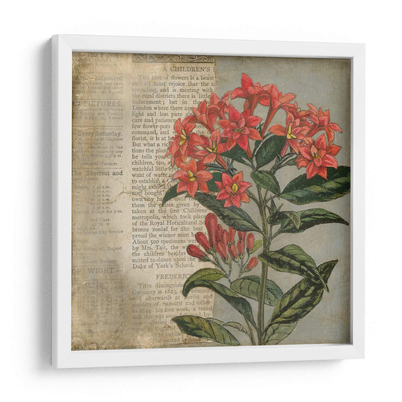 Vintage Fleur Rouge Ii - Megan Meagher | Cuadro decorativo de Canvas Lab