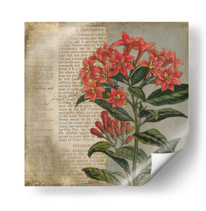 Vintage Fleur Rouge Ii - Megan Meagher | Cuadro decorativo de Canvas Lab