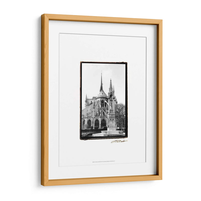 Notre Dame Cathedral Iii - Laura DeNardo | Cuadro decorativo de Canvas Lab