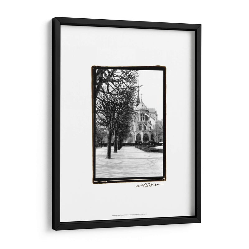Notre Dame Cathedral Iv - Laura DeNardo | Cuadro decorativo de Canvas Lab