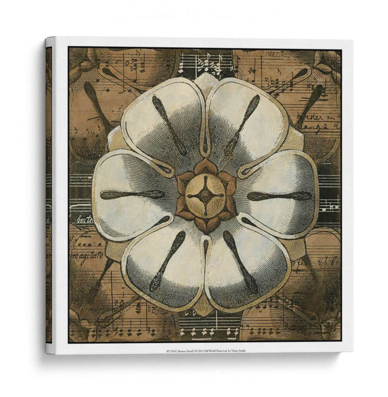 Detalle De Roseta I - Vision Studio | Cuadro decorativo de Canvas Lab