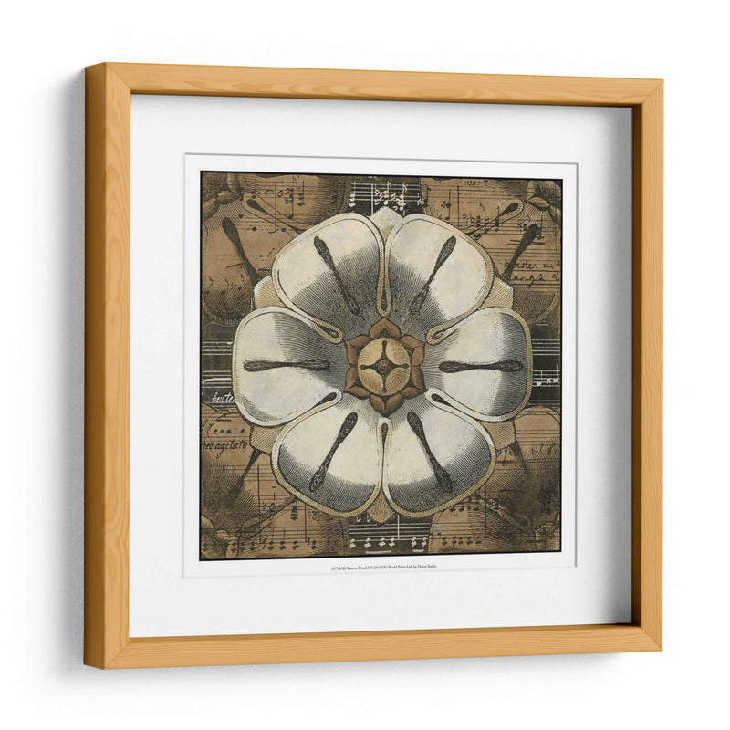 Detalle De Roseta I - Vision Studio | Cuadro decorativo de Canvas Lab