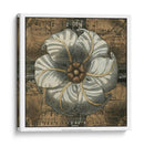 Rosette Detail Iii - Vision Studio | Cuadro decorativo de Canvas Lab