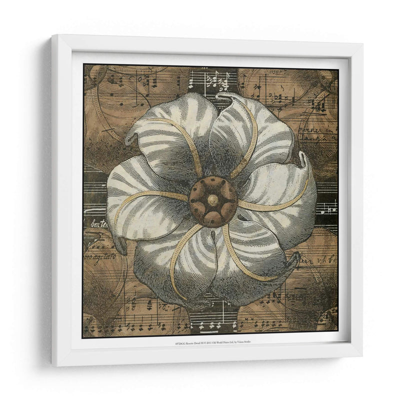 Rosette Detail Iii - Vision Studio | Cuadro decorativo de Canvas Lab