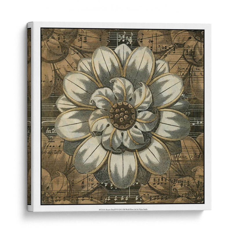 Detalle De Roseta Iv - Vision Studio | Cuadro decorativo de Canvas Lab
