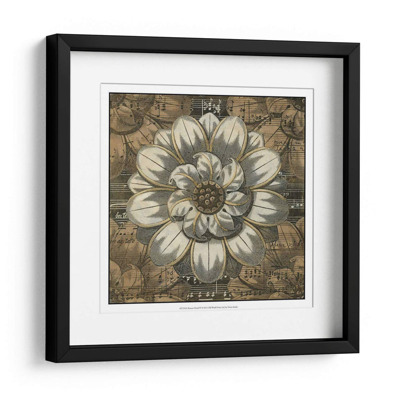 Detalle De Roseta Iv - Vision Studio | Cuadro decorativo de Canvas Lab