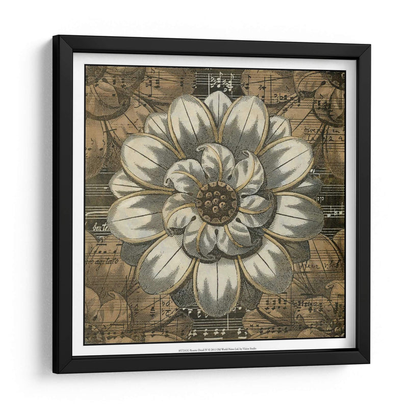 Detalle De Roseta Iv - Vision Studio | Cuadro decorativo de Canvas Lab