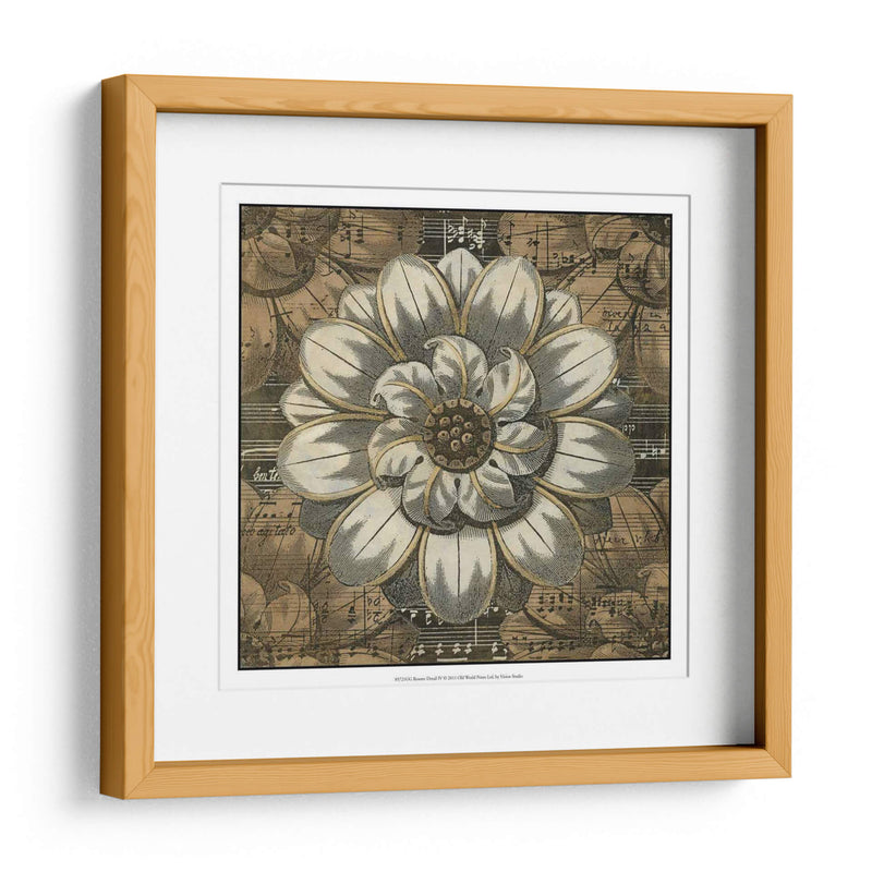 Detalle De Roseta Iv - Vision Studio | Cuadro decorativo de Canvas Lab