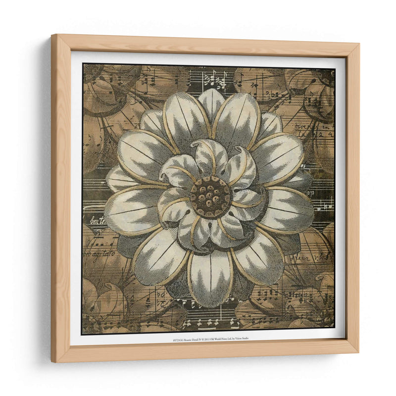 Detalle De Roseta Iv - Vision Studio | Cuadro decorativo de Canvas Lab