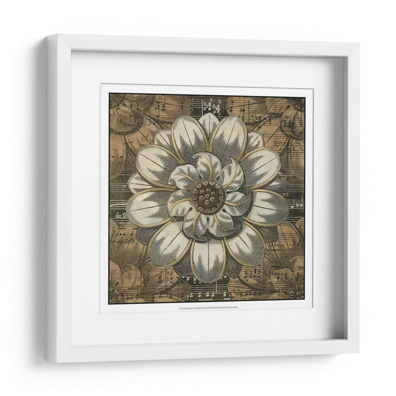 Detalle De Roseta Iv - Vision Studio | Cuadro decorativo de Canvas Lab