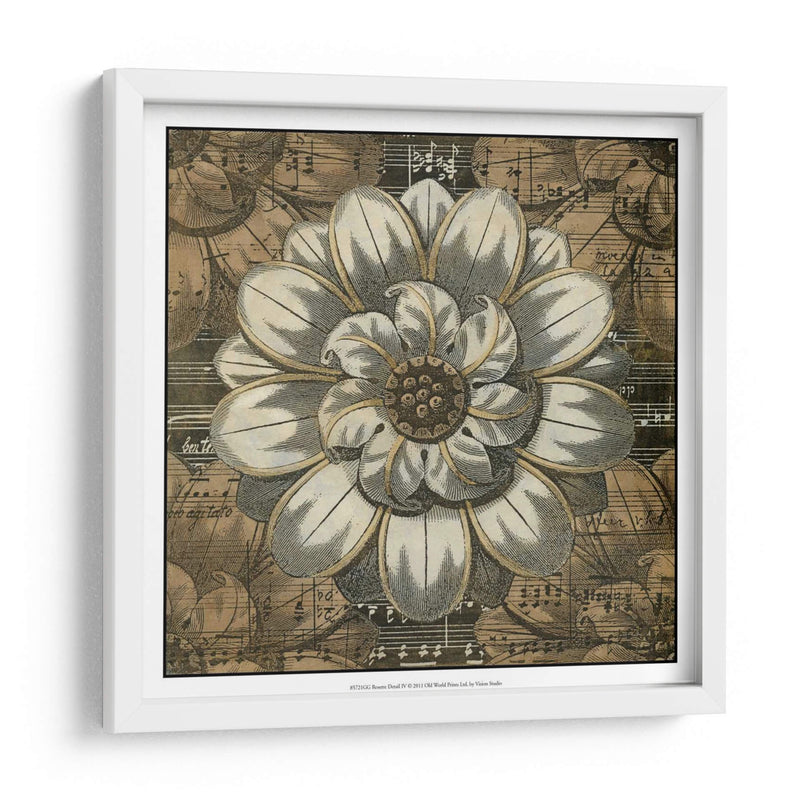 Detalle De Roseta Iv - Vision Studio | Cuadro decorativo de Canvas Lab