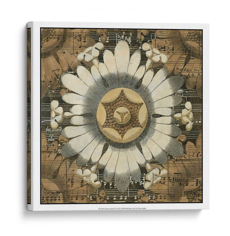 Detalle De Roseta V - Vision Studio | Cuadro decorativo de Canvas Lab