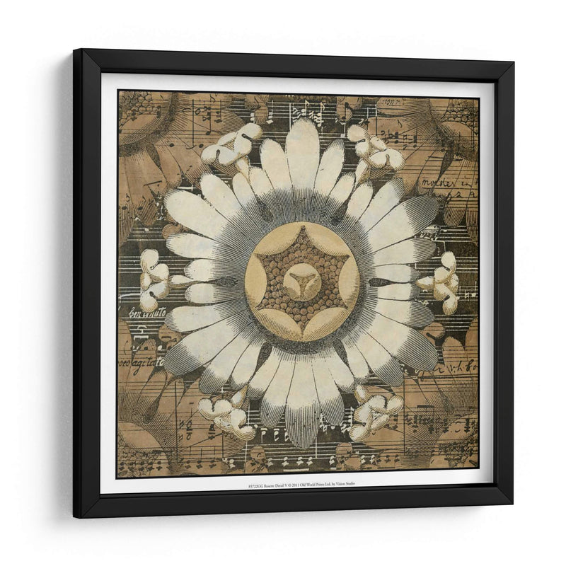 Detalle De Roseta V - Vision Studio | Cuadro decorativo de Canvas Lab