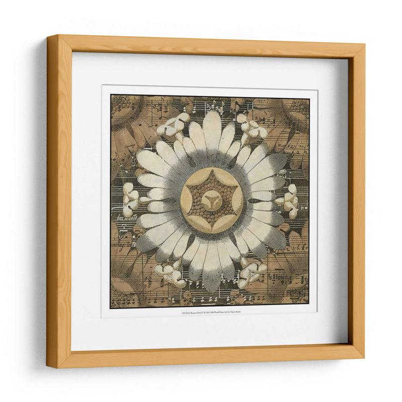 Detalle De Roseta V - Vision Studio | Cuadro decorativo de Canvas Lab