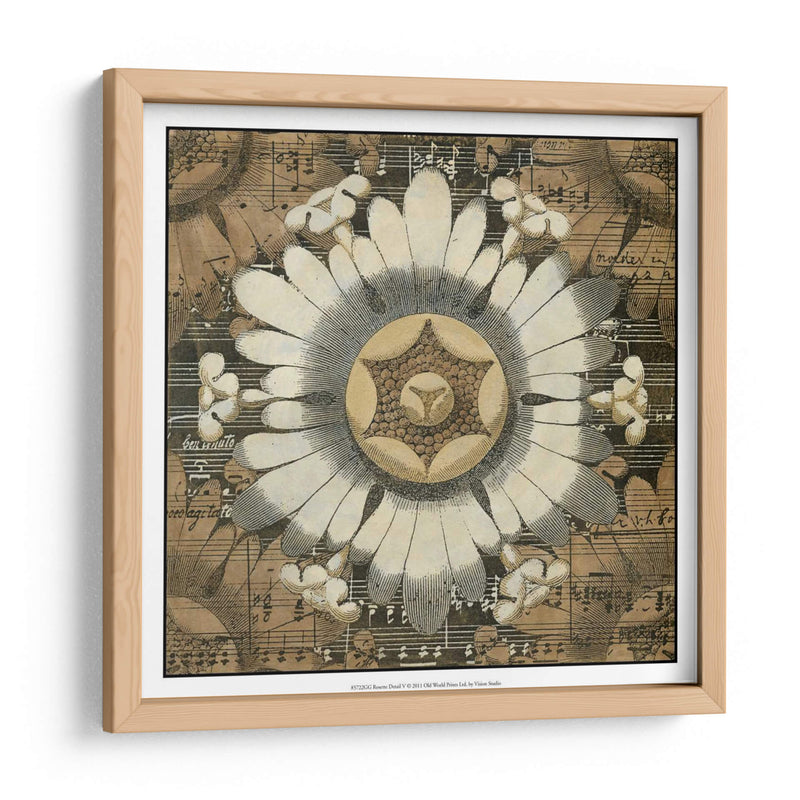 Detalle De Roseta V - Vision Studio | Cuadro decorativo de Canvas Lab