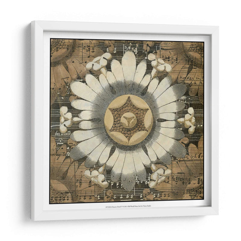 Detalle De Roseta V - Vision Studio | Cuadro decorativo de Canvas Lab