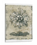 Ornamento Decorativo Impreso Ii - Ethan Harper | Cuadro decorativo de Canvas Lab