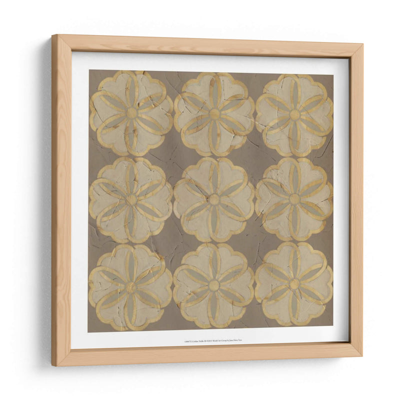 Golden Trellis Iii - June Erica Vess | Cuadro decorativo de Canvas Lab