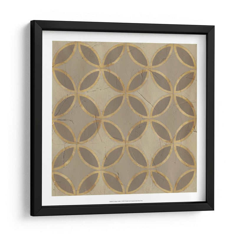 Golden Trellis V - June Erica Vess | Cuadro decorativo de Canvas Lab