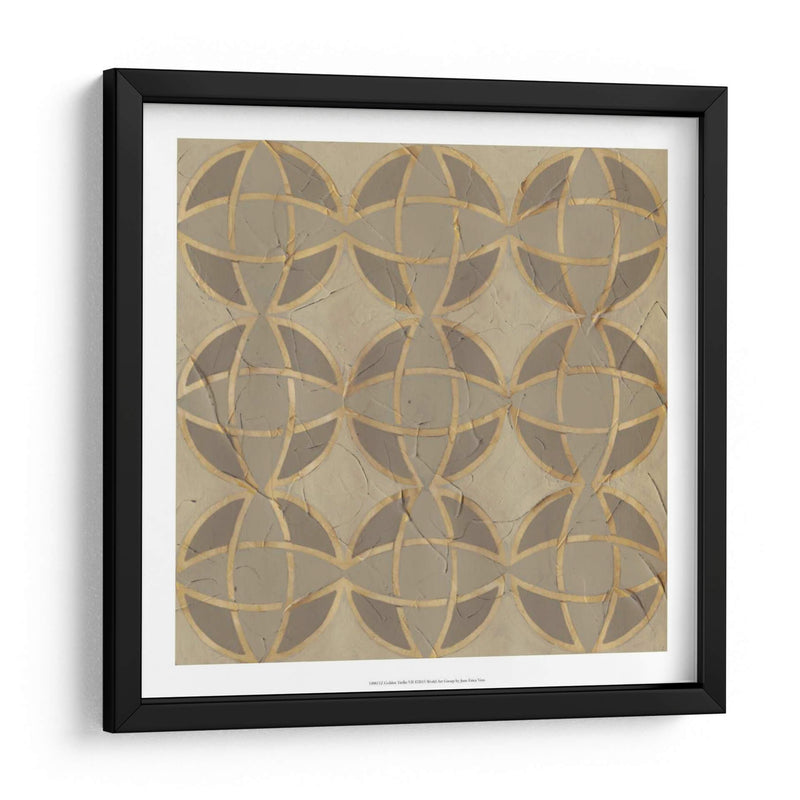 Golden Trellis Vii - June Erica Vess | Cuadro decorativo de Canvas Lab