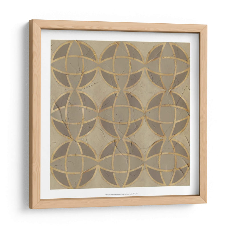 Golden Trellis Vii - June Erica Vess | Cuadro decorativo de Canvas Lab
