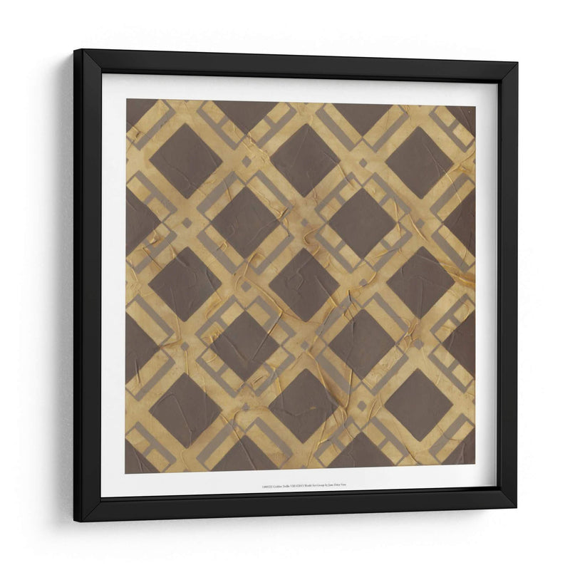 Golden Trellis Viii - June Erica Vess | Cuadro decorativo de Canvas Lab