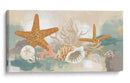 Marine Tableau I - June Erica Vess | Cuadro decorativo de Canvas Lab