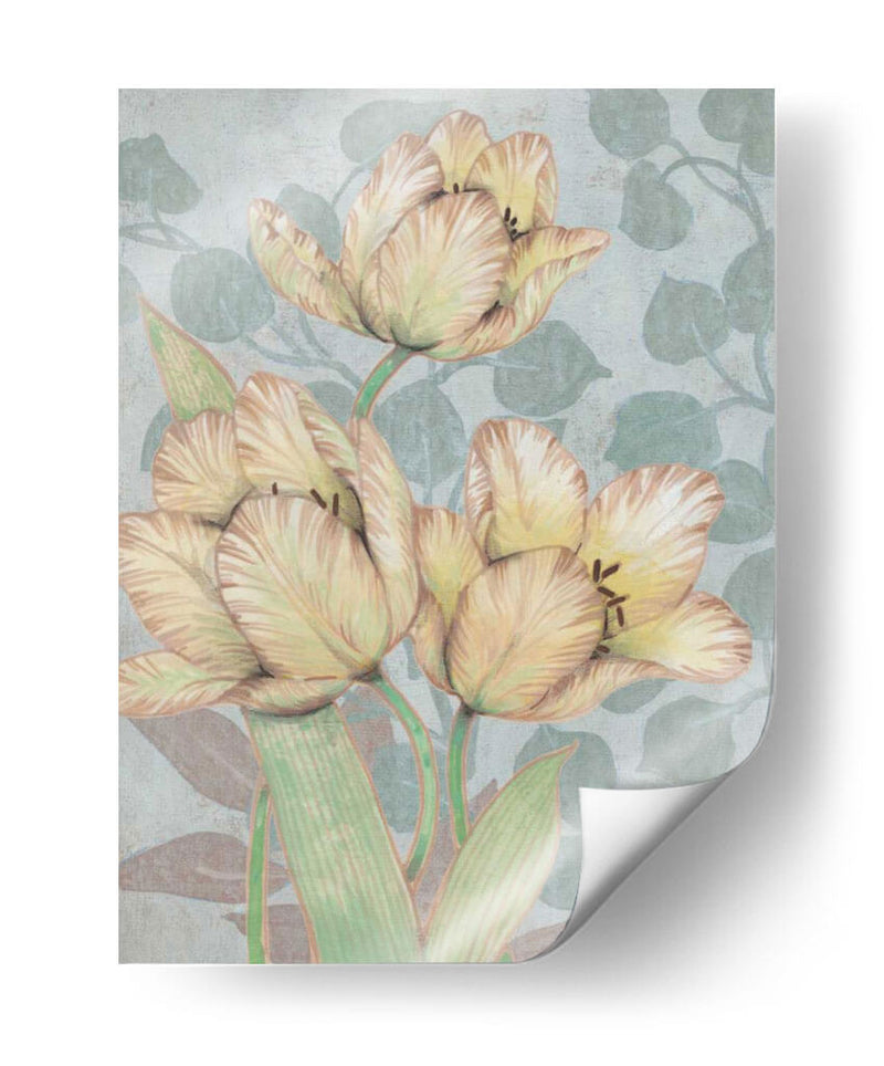 Trois Fleurs Ii - Tim OToole | Cuadro decorativo de Canvas Lab