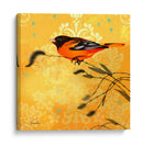 Oriole Y Cartouche I - Evelia Designs | Cuadro decorativo de Canvas Lab