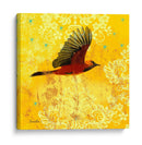 Oriole Y Cartouche Iii - Evelia Designs | Cuadro decorativo de Canvas Lab
