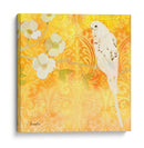 Budgie Y Cartouche I - Evelia Designs | Cuadro decorativo de Canvas Lab
