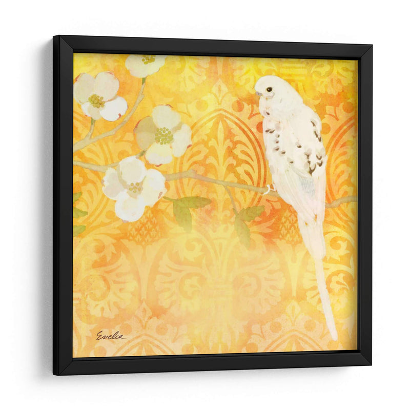 Budgie Y Cartouche I - Evelia Designs | Cuadro decorativo de Canvas Lab