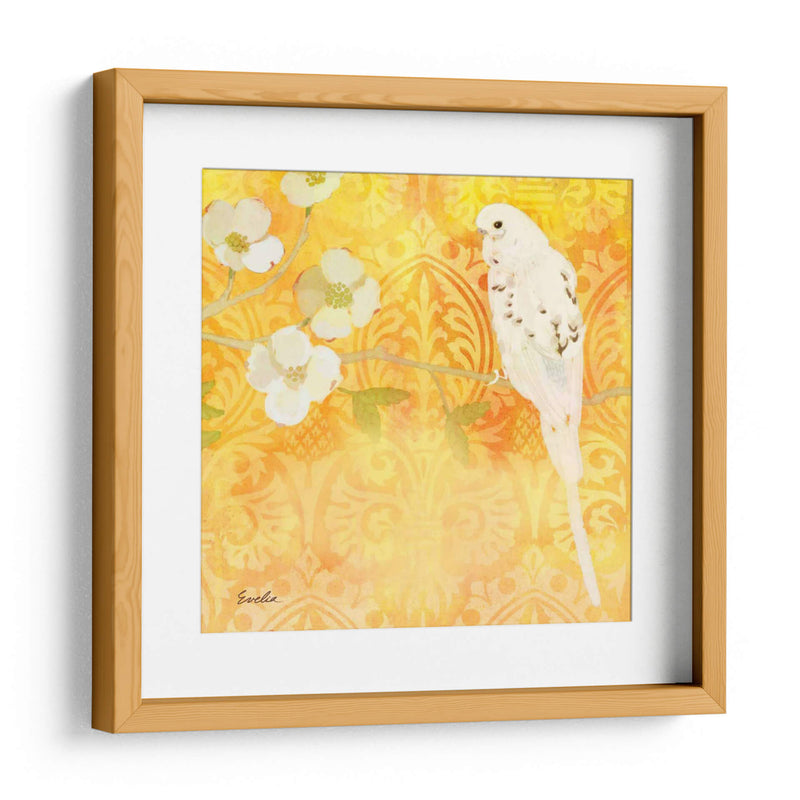 Budgie Y Cartouche I - Evelia Designs | Cuadro decorativo de Canvas Lab