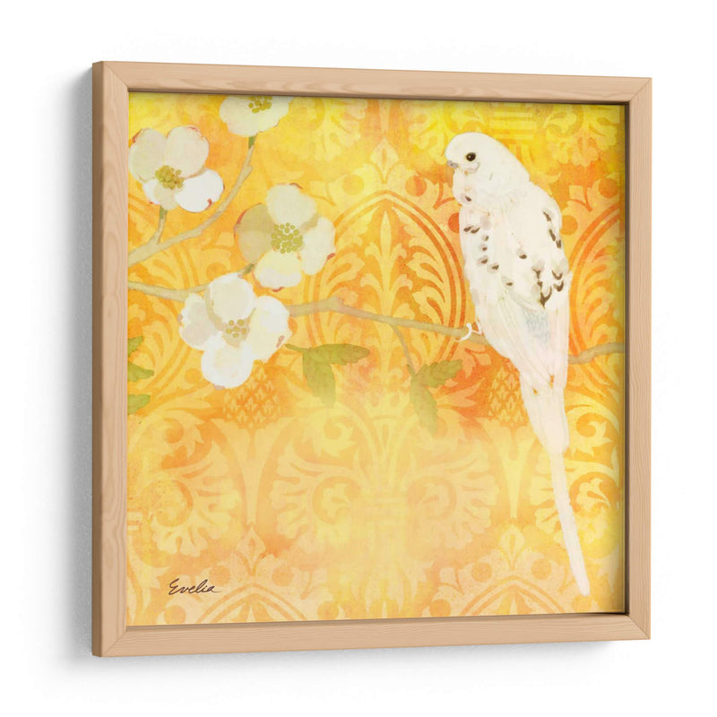 Budgie Y Cartouche I - Evelia Designs | Cuadro decorativo de Canvas Lab
