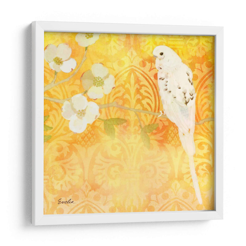 Budgie Y Cartouche I - Evelia Designs | Cuadro decorativo de Canvas Lab