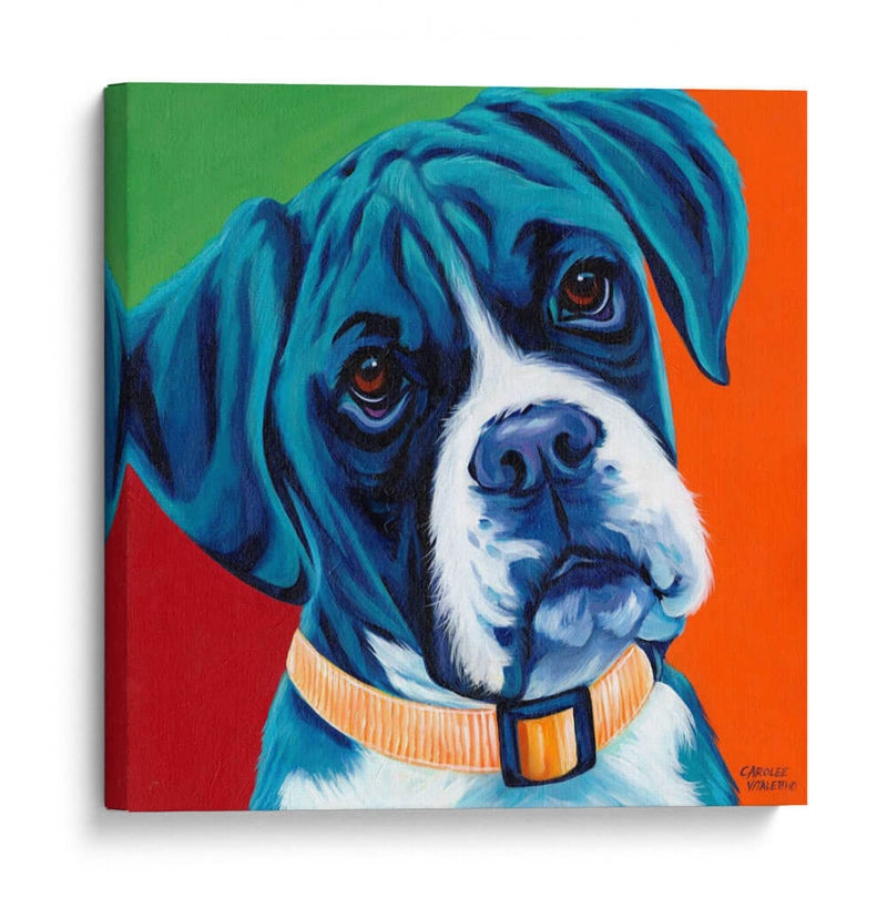 Lindos Cachorros I - Carolee Vitaletti | Cuadro decorativo de Canvas Lab