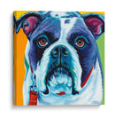 Lindos Pups Ii - Carolee Vitaletti | Cuadro decorativo de Canvas Lab