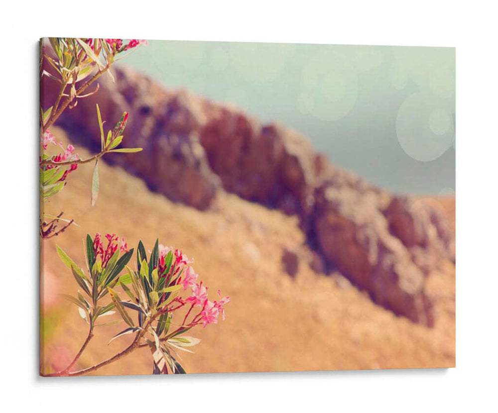 Flores En El Paraíso I - Sylvia Coomes | Cuadro decorativo de Canvas Lab