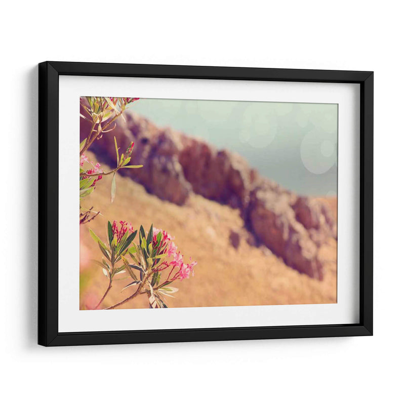 Flores En El Paraíso I - Sylvia Coomes | Cuadro decorativo de Canvas Lab