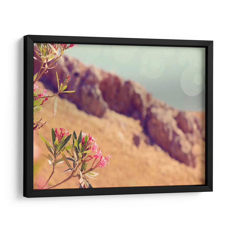 Flores En El Paraíso I - Sylvia Coomes | Cuadro decorativo de Canvas Lab