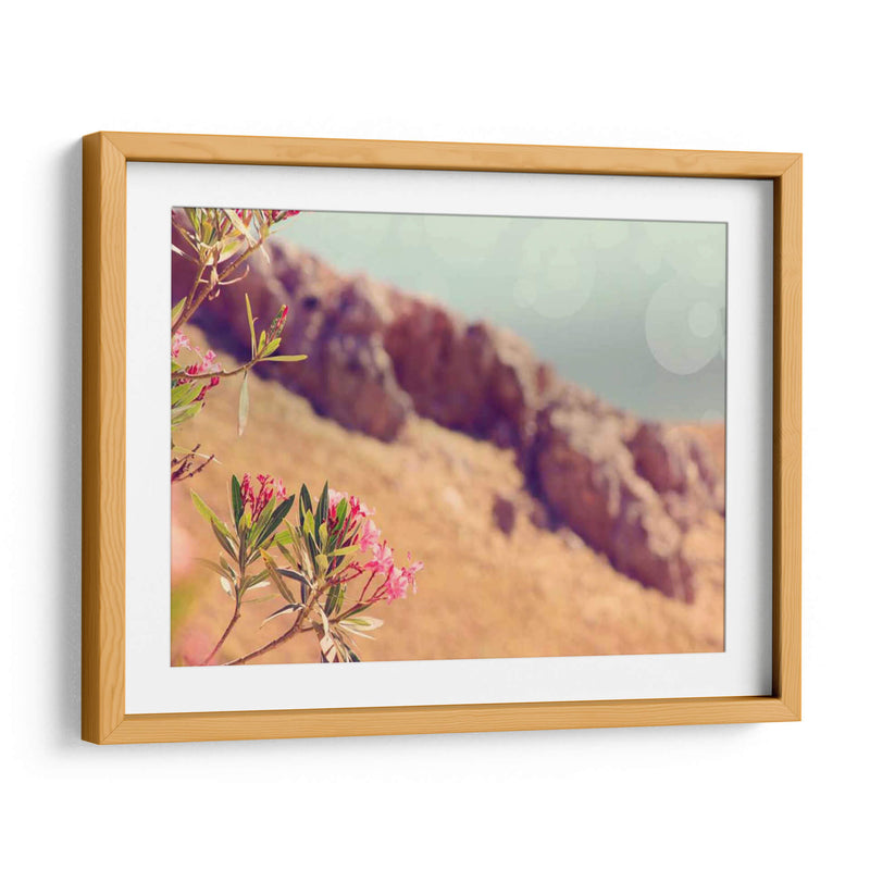 Flores En El Paraíso I - Sylvia Coomes | Cuadro decorativo de Canvas Lab