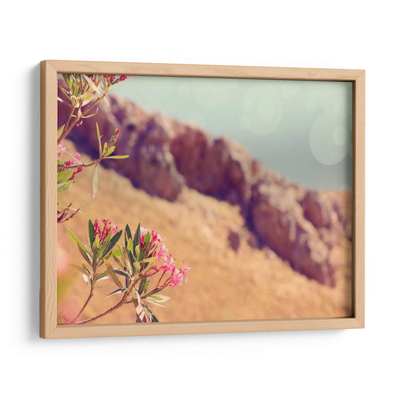 Flores En El Paraíso I - Sylvia Coomes | Cuadro decorativo de Canvas Lab