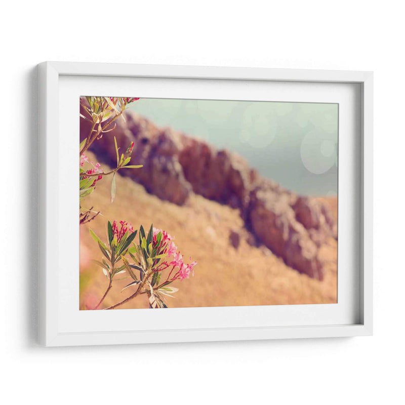 Flores En El Paraíso I - Sylvia Coomes | Cuadro decorativo de Canvas Lab